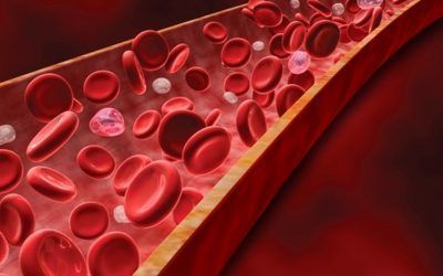 Un anticuerpo previene la trombosis sin riesgo de hemorragias