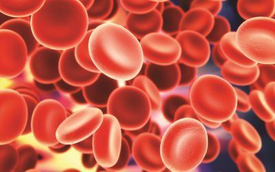 Hospital practice confirms the findings of clinical trials with new oral anticoagulants