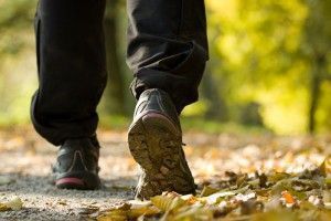 pies de una persona andando por un parque