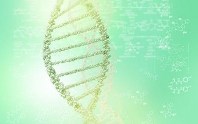 En busca de la epigenética de la trombosis