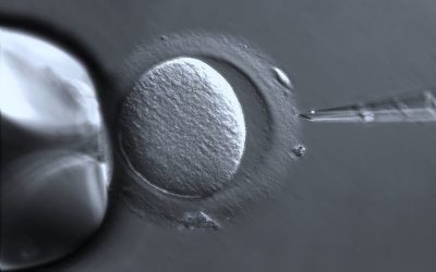 Así es el perfil de las mujeres que hacen una ETV mientras siguen un tratamiento de reproducción asistida