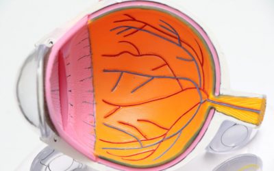 El riesgo de trombosis en las venas del ojo aumenta tras pasar la covid-19